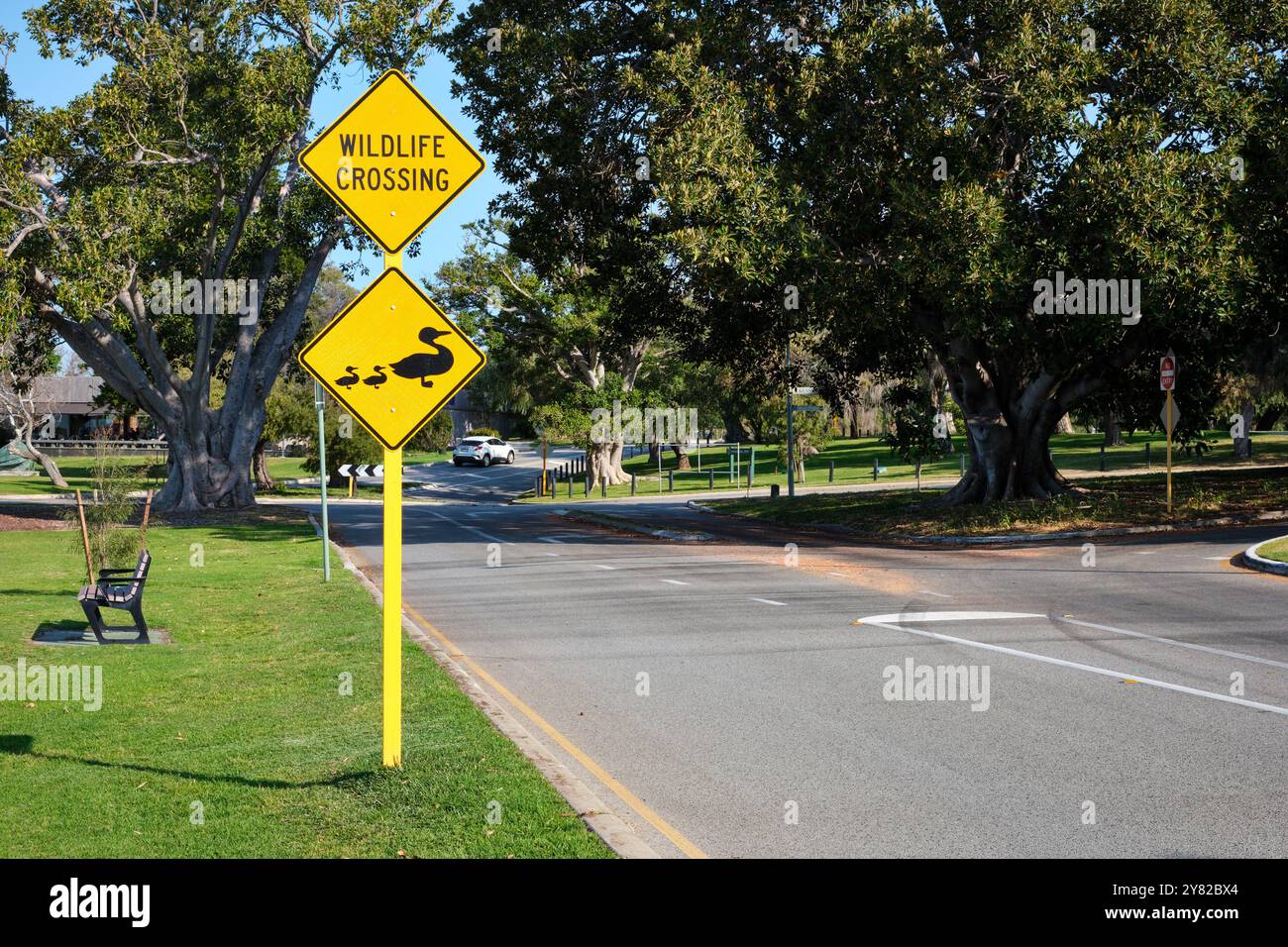 Un cartello che indica un incrocio di fauna selvatica con una foto di un'anatra e anatre in una strada suburbana a Peppermint Grove, Perth, Australia Occidentale. Foto Stock