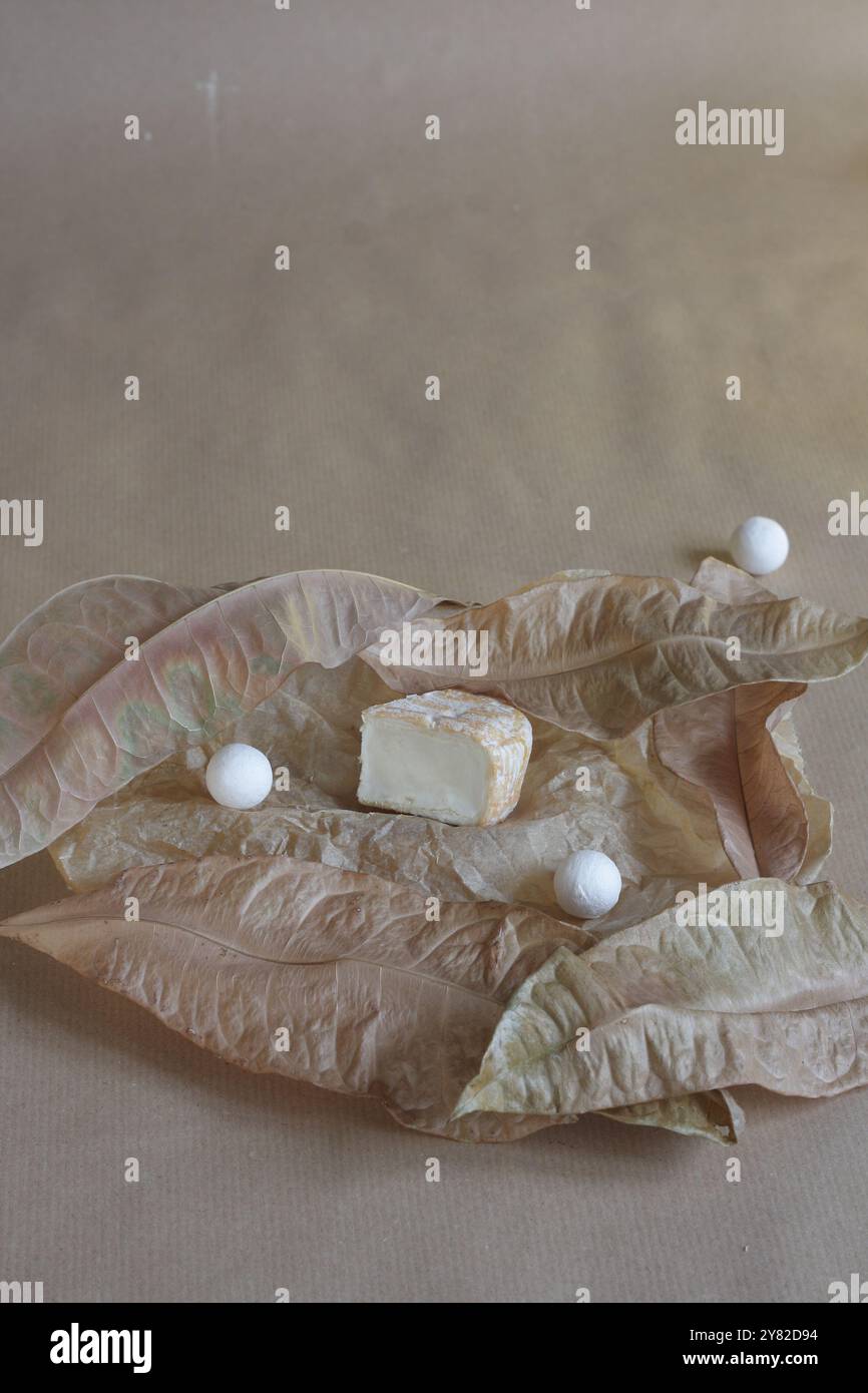 Pezzo di formaggio Camembert appoggiato su foglie essiccate, su sfondo beige, creando un'estetica rustica e naturale in un semplice ed elegante compos Foto Stock