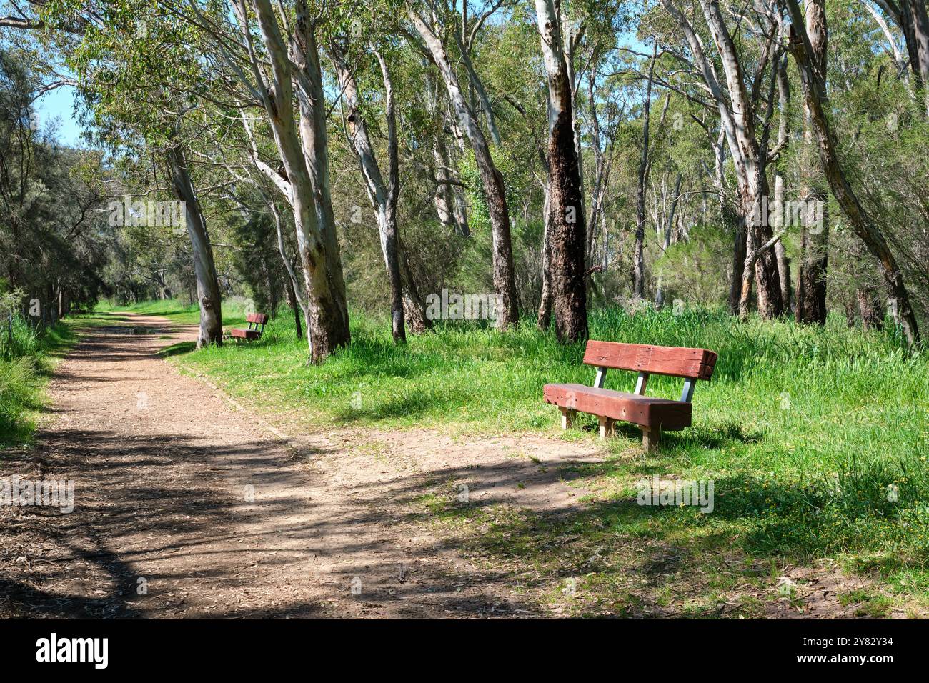 Posti a sedere lungo il John George Walk Trail che corre accanto al fiume Swan tra Woodbridge e Viveash, Perth, Australia Occidentale Foto Stock