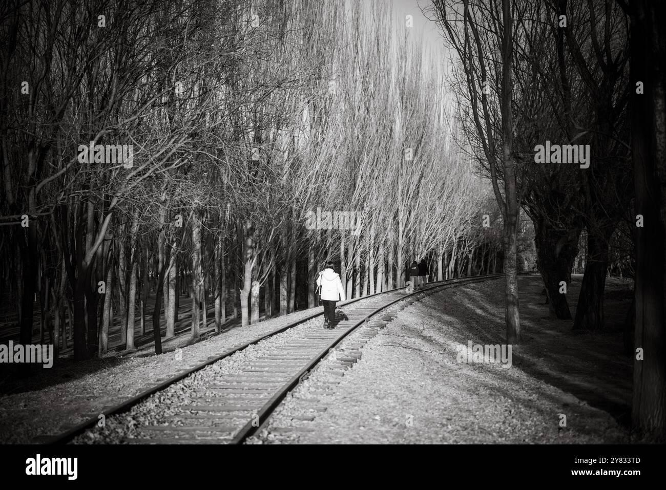 Vista posteriore di una persona che cammina sui binari ferroviari Foto Stock