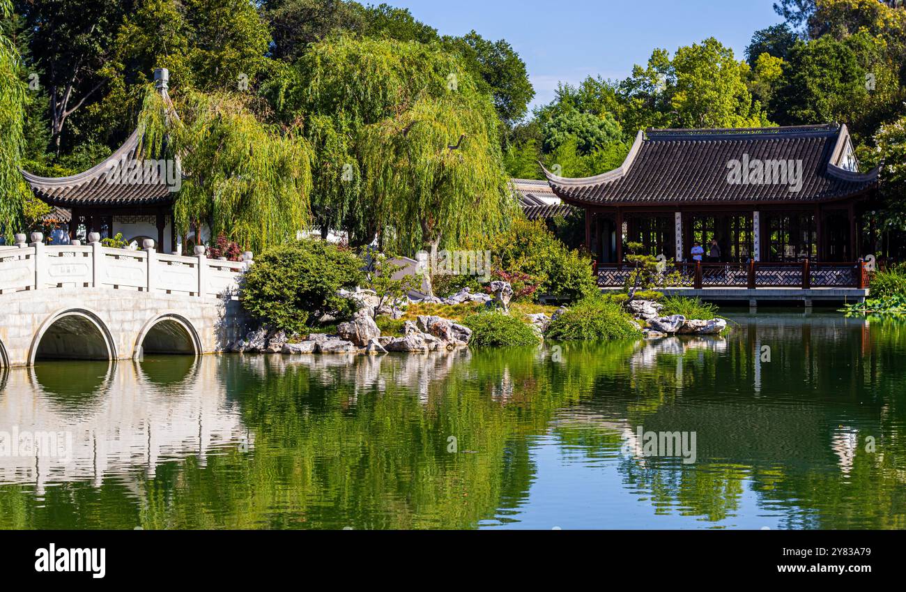 The Lake of Reflected Fragrance e Jade Ribbon Bridge presso il Chinese Garden presso la Huntington Library, San Marino, California, Stati Uniti Foto Stock