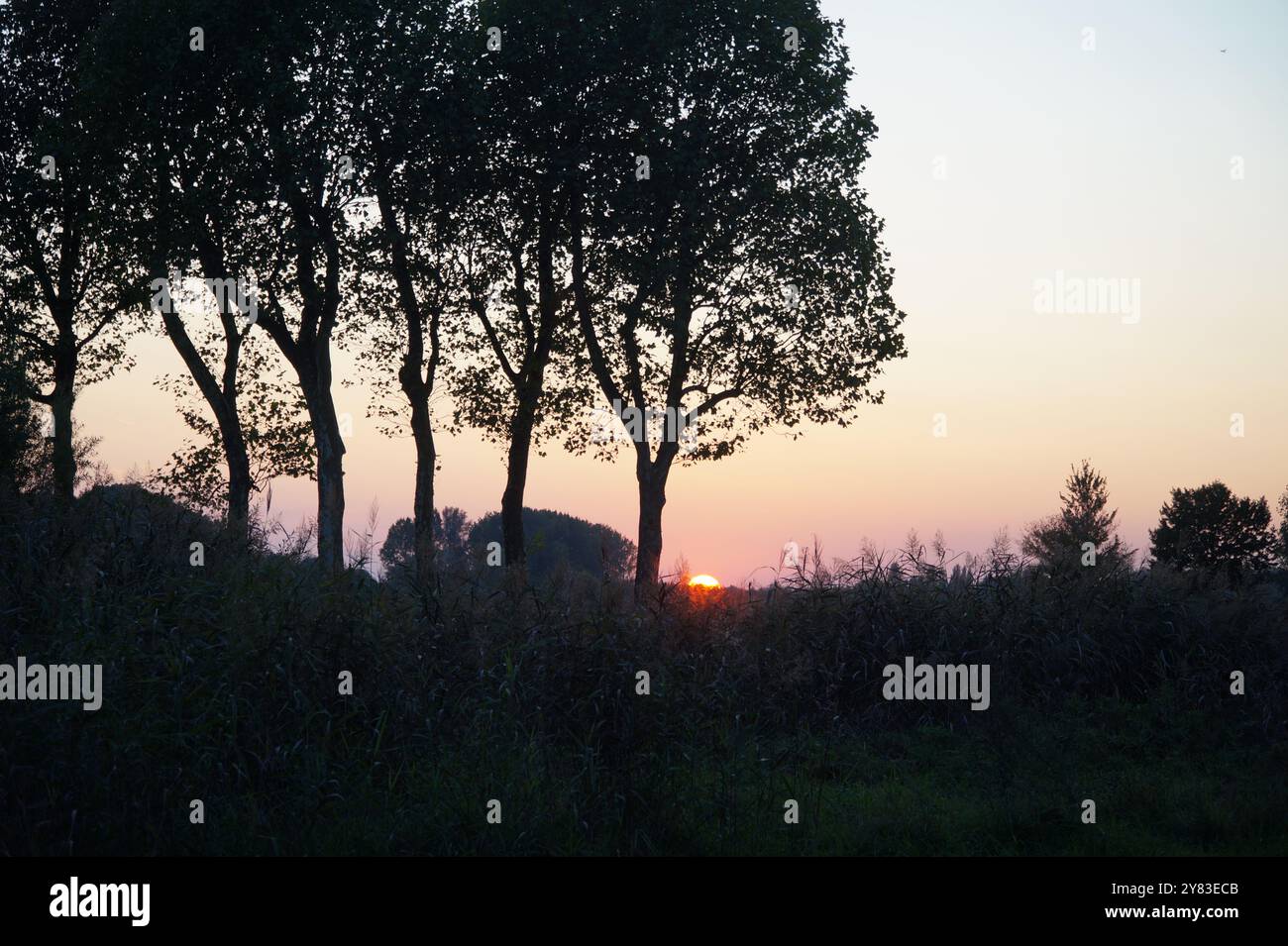 Sole a malapena visibile all'alba del pomeriggio Foto Stock