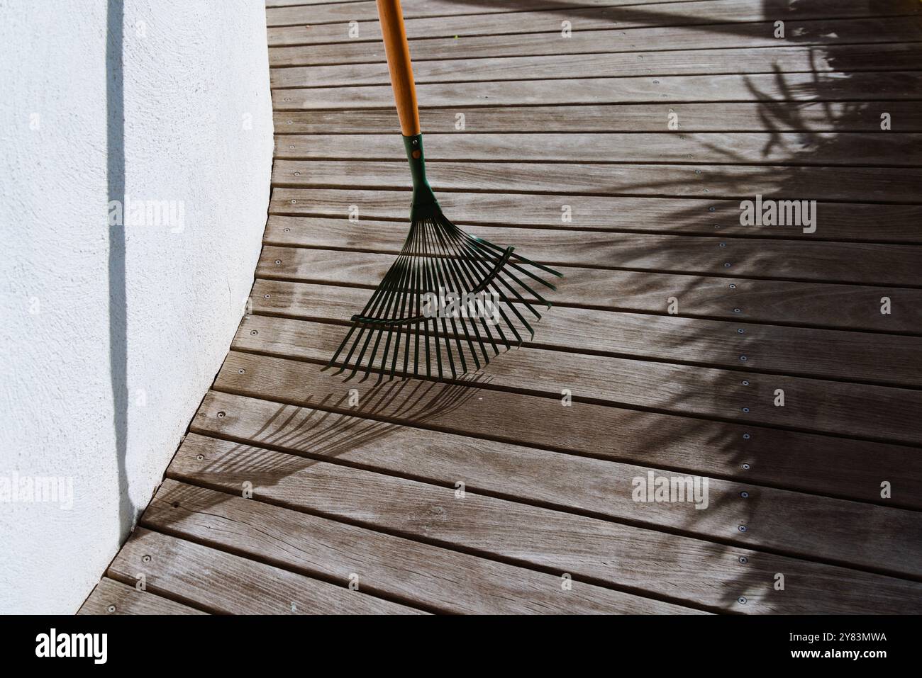 Leaf Rake che si illumina alla luce del sole: Uno sguardo d'autunno Foto Stock