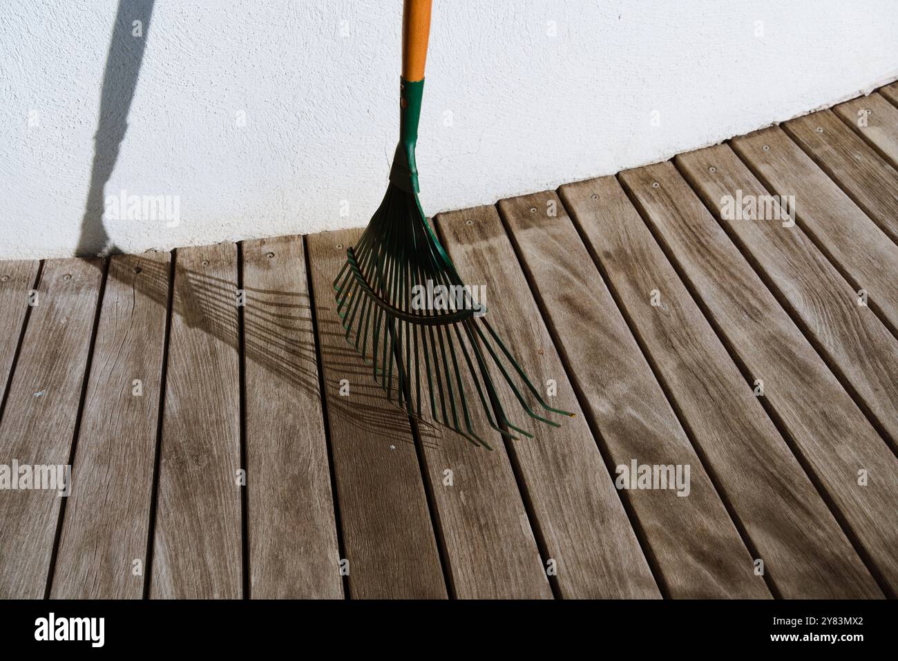 Leaf Rake che si illumina alla luce del sole: Uno sguardo d'autunno Foto Stock