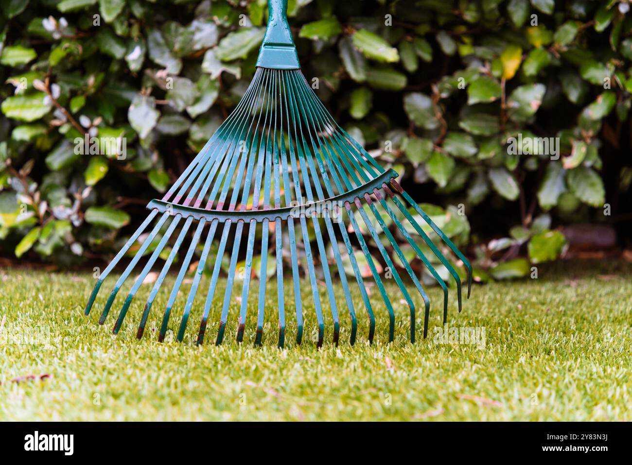 Leaf Rake che si illumina alla luce del sole: Uno sguardo d'autunno Foto Stock