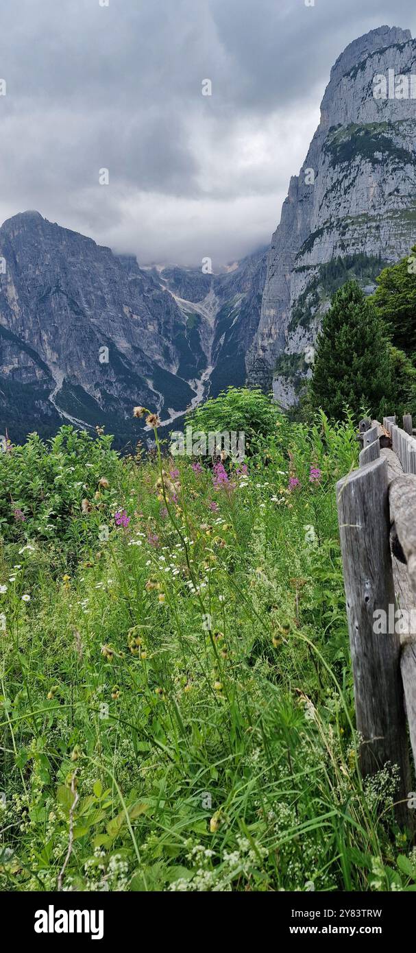 Vista panoramica di una recinzione di legno in un prato di montagna, circondato da ripide montagne delle Dolomiti di Brenta, Italia Foto Stock