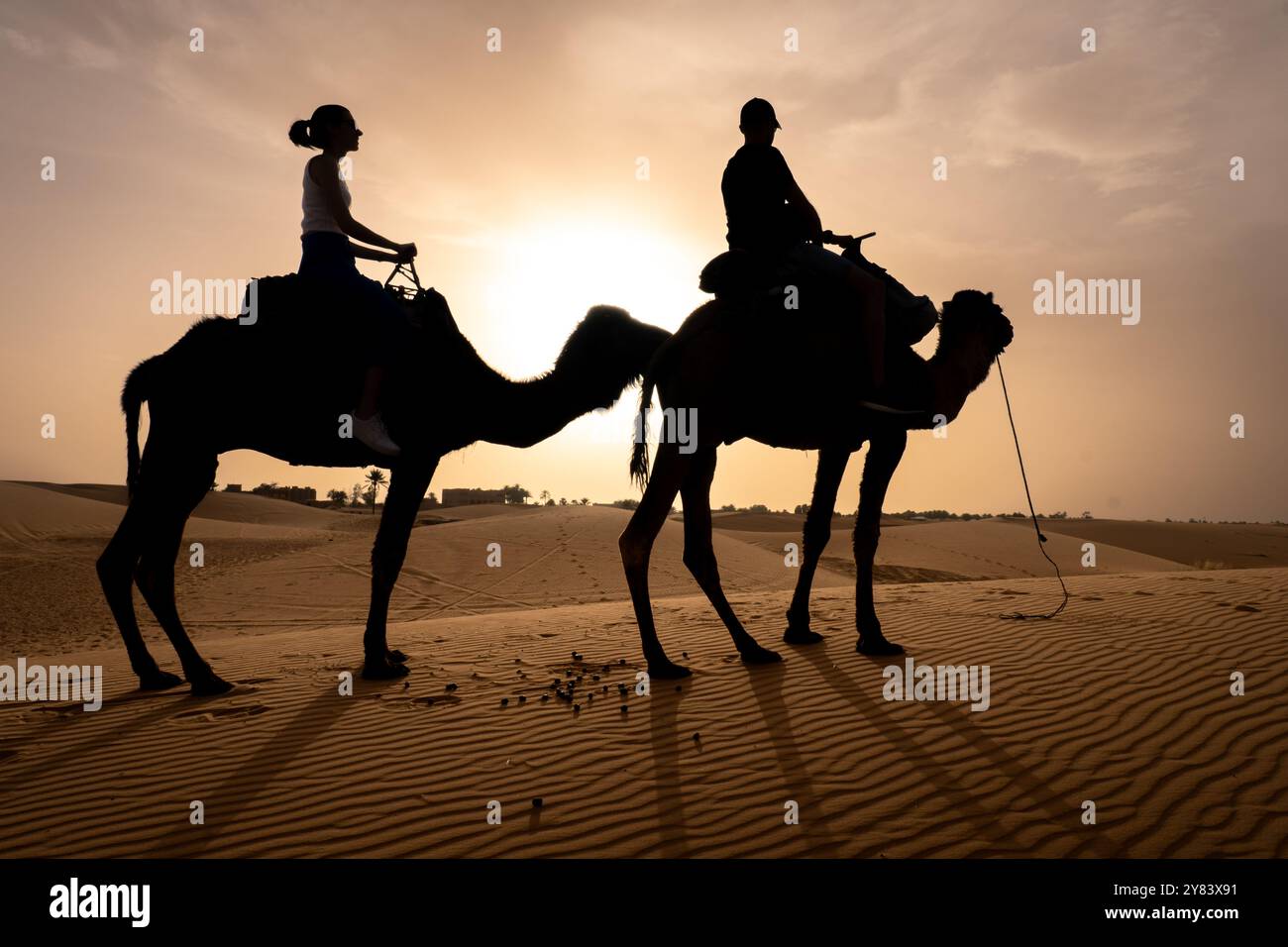 Coppia sconosciuta che cavalca cammelli nel deserto al tramonto Foto Stock