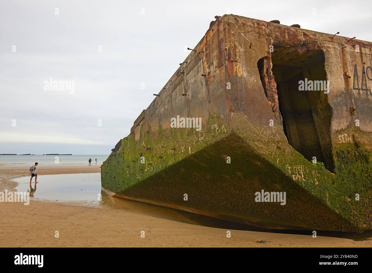 Visitatori che esplorano i resti di Mulberry Harbour, Arromanches Beach, Normandia Francia Foto Stock