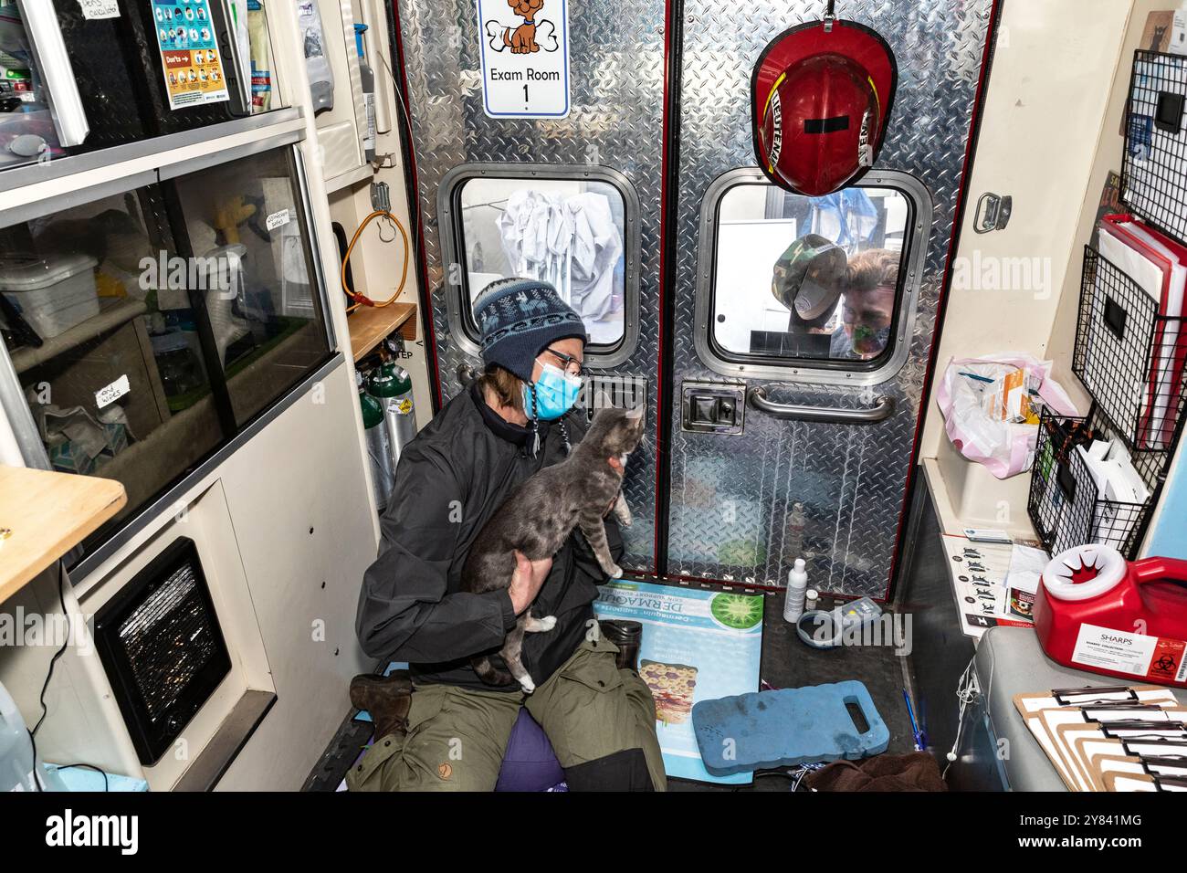 SVO-00104..... WASHINGTON - la veterinaria Hana Ekstrom esamina la principessa il gatto mentre il suo proprietario guarda nella finestra della sala esame mobile. Foto Stock