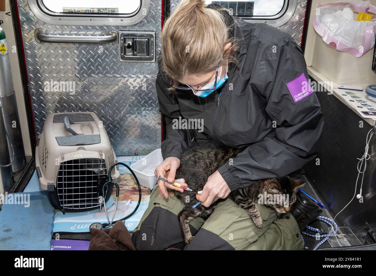 SVO-00108....WASHINGTON - la veterinaria HANNA EKSTROM tratta un gatto presso la clinica mobile Seattle Veterinary Outreach per cure mediche gratuite. Foto Stock