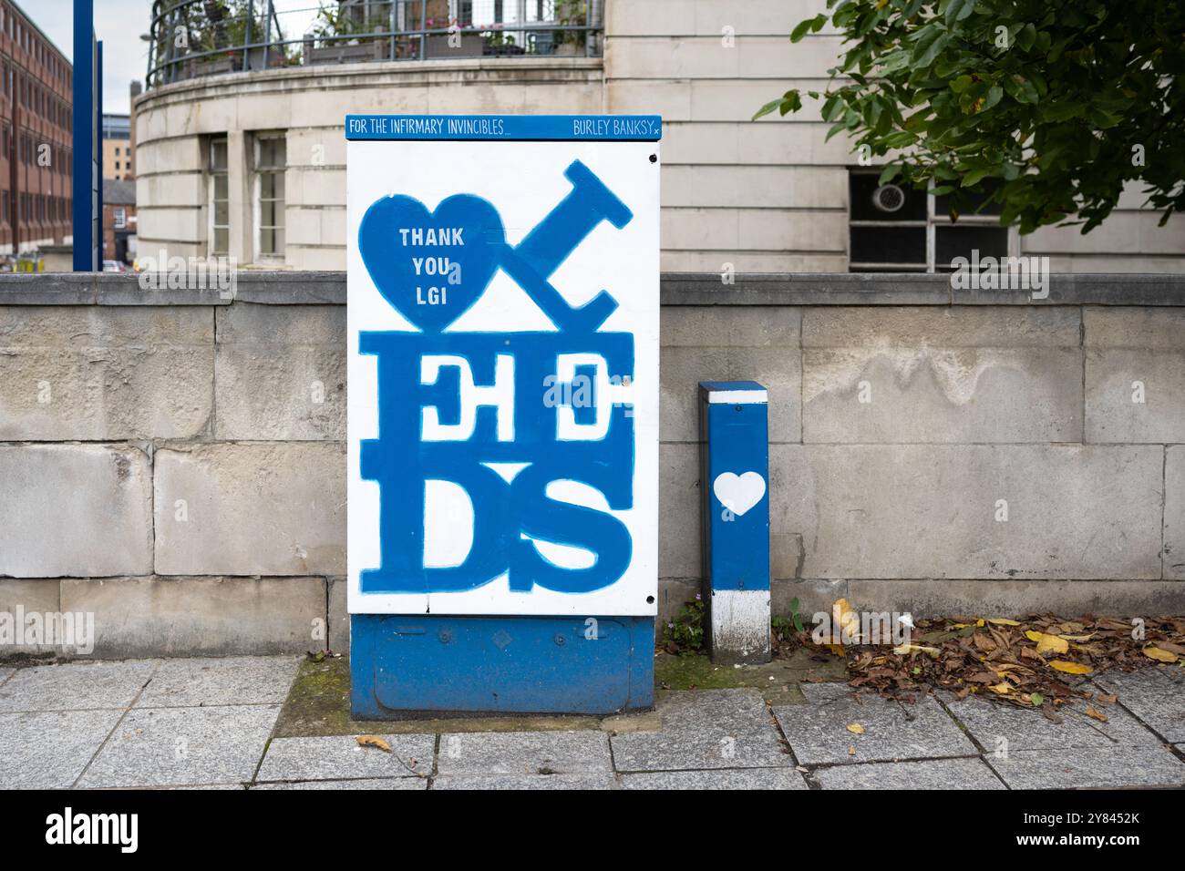 Grazie il murale LGI Leeds su Electric Box dipinto da Burley Banksy, Leeds, West Yorkshire, Inghilterra, Regno Unito Foto Stock
