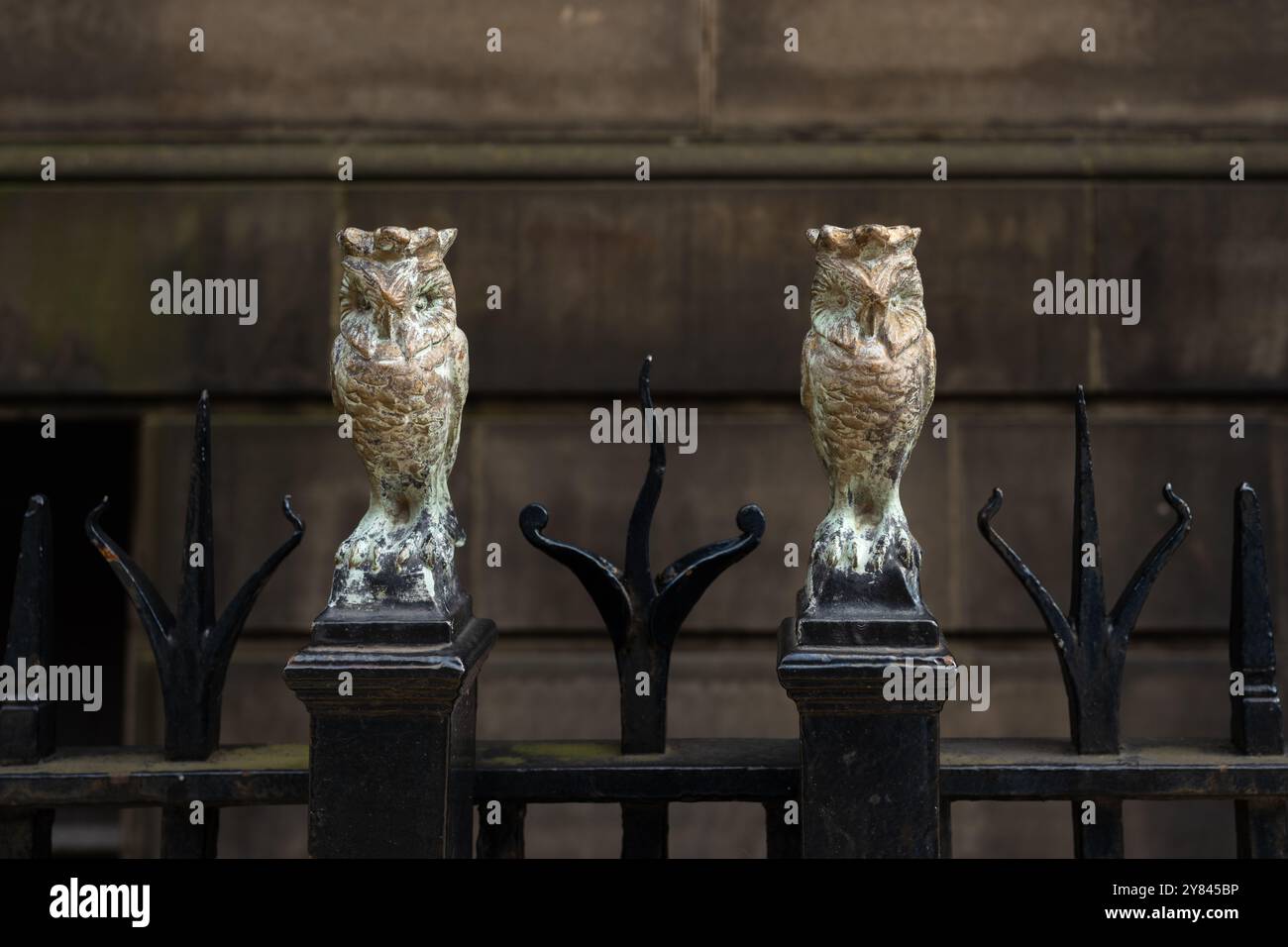 Leeds owls sulle ringhiere fuori Leeds Municipal Buildings - parte del Leeds owl Trail, Leeds, West Yorkshire, Inghilterra, Regno Unito Foto Stock
