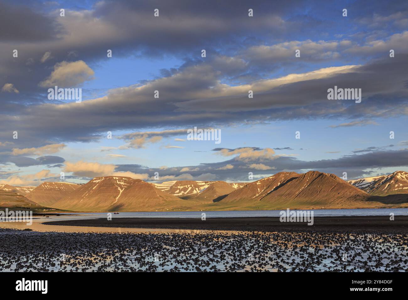 Fiordo, bassa marea, pietre, montagne, luce serale, atmosfera nuvolosa, Thingeyri, Westfjords, Islanda, Europa Foto Stock