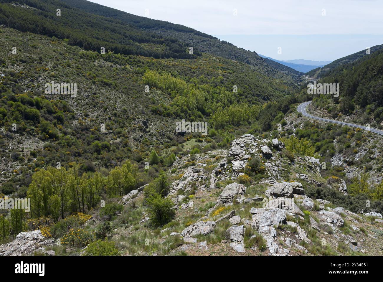 Paesaggio montano roccioso con alberi verdi e vallata sullo sfondo, Mirador sobre el Palancon, Palancon, A-337, Provincia di Almeria, Almeria, an Foto Stock