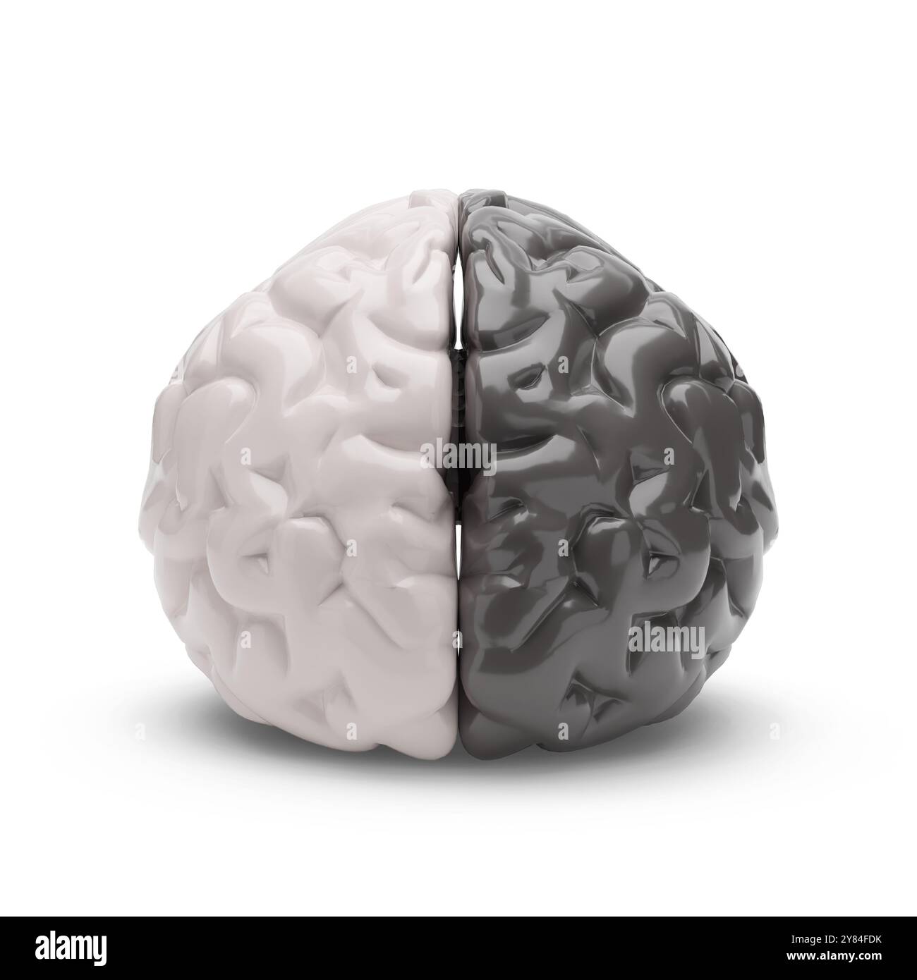 Cervello umano mezzo nero e mezzo bianco isolato su sfondo bianco. illustrazione 3d. Foto Stock