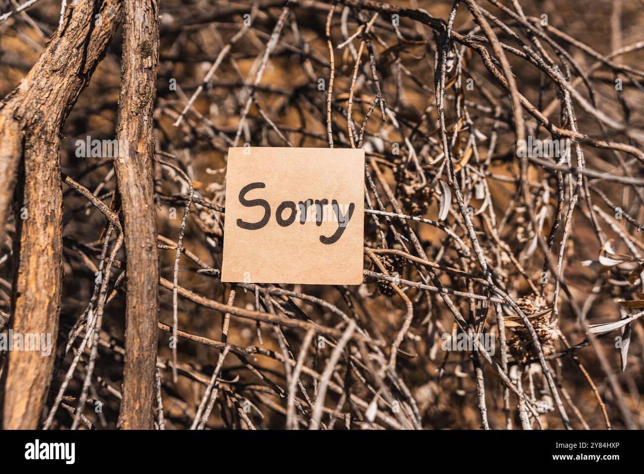 scritto e disegnato su un cartone riciclato con sfondo testurizzato corteccia d'albero. Foto Stock