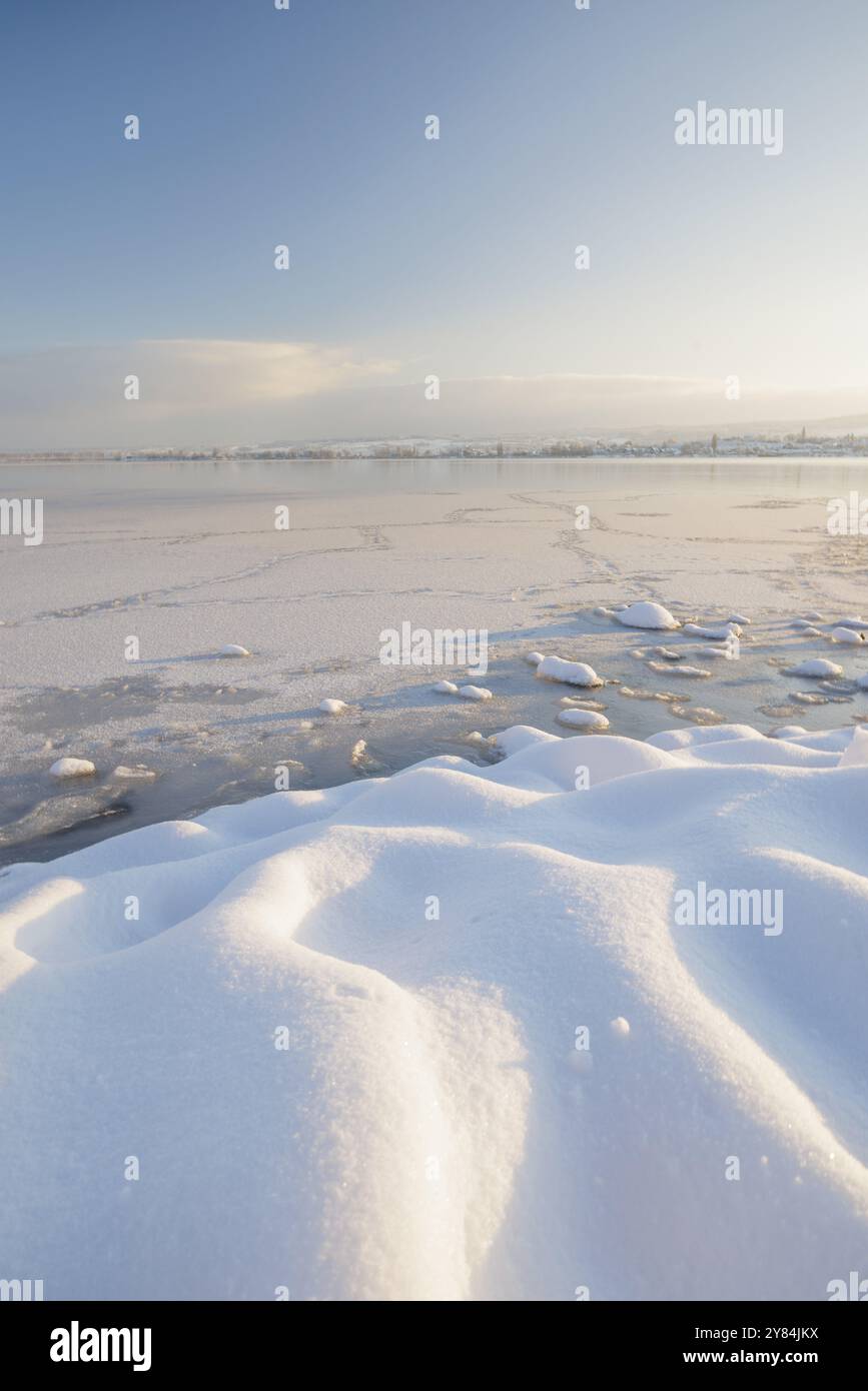 Paesaggio innevato e ghiacciato di fronte a un cielo limpido, Seegarten, Allensbach, Lago di Costanza, Baden-Wuerttemberg, Germania, Europa Foto Stock
