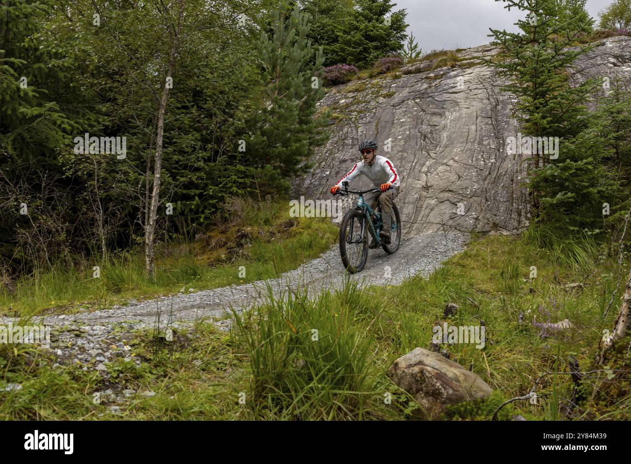 Air's Rock, mountain bike che scende su una ripida parete rocciosa, Laggan Wolftrax Mountain Bike Centre, Laggan, Highlands, Scozia, Regno Unito, Europa Foto Stock