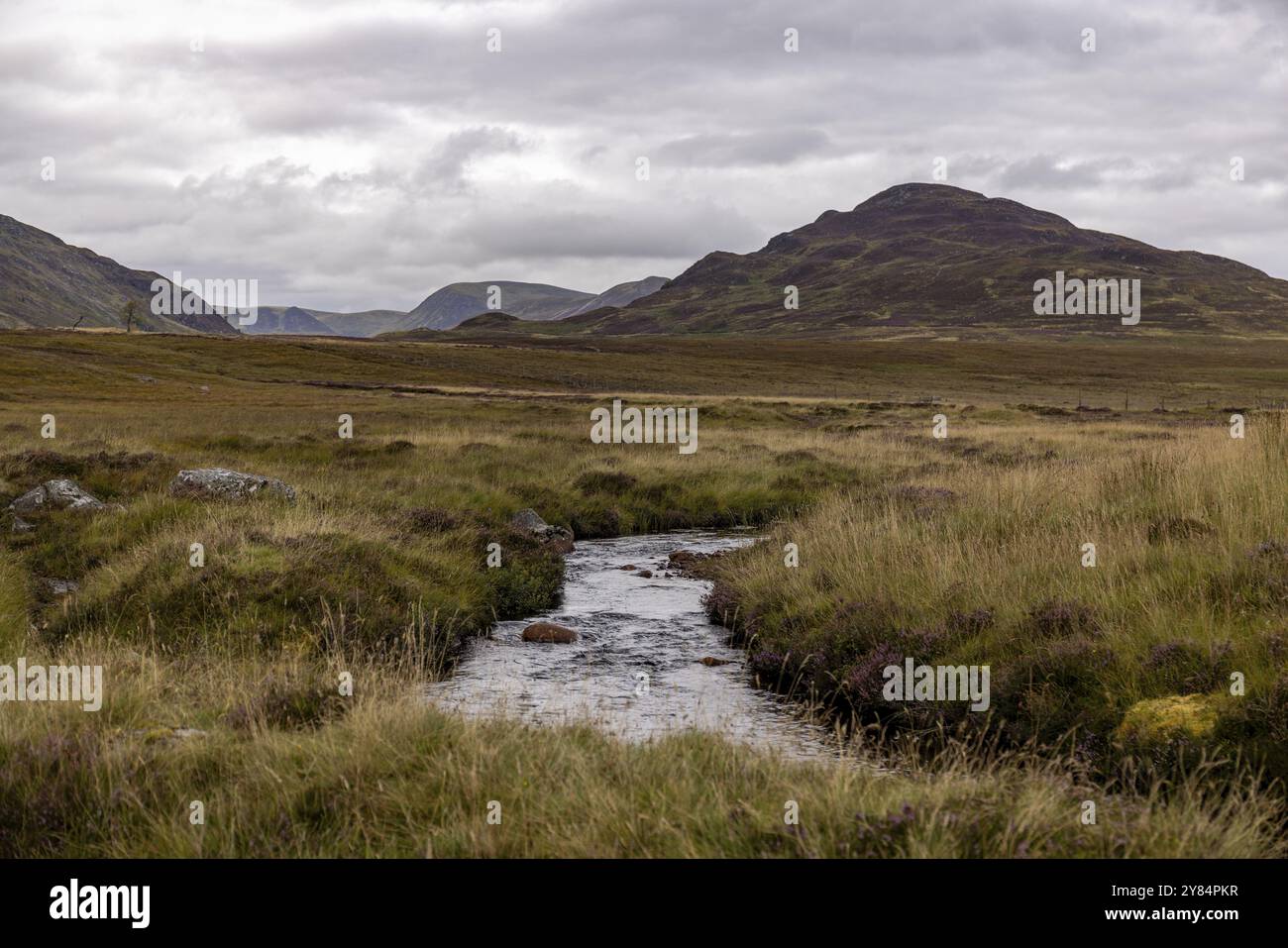 Moor, Balgowan, Laggan, Newtonmore, Highlands, Scozia, Gran Bretagna Foto Stock