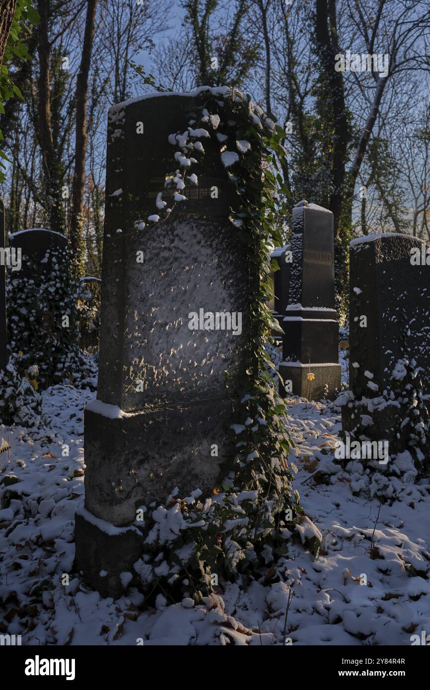 Germania, Berlino, 28.11.2023, cimitero ebraico di Weissensee, lapidi, Europa Foto Stock