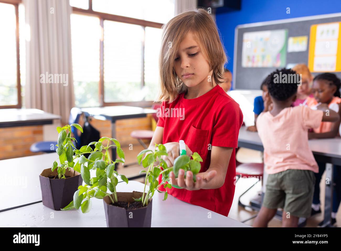 A scuola, ragazzo che esamina la pianta in classe, impara a conoscere la botanica Foto Stock
