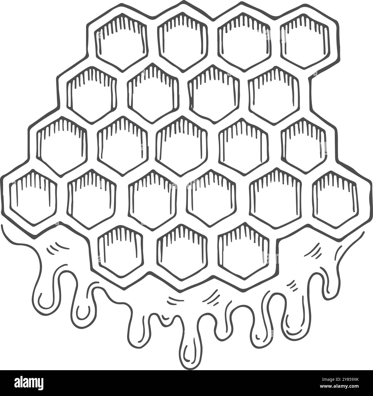 Miele che gocciola dal favo. Logo Sweet disegnato a mano Illustrazione Vettoriale