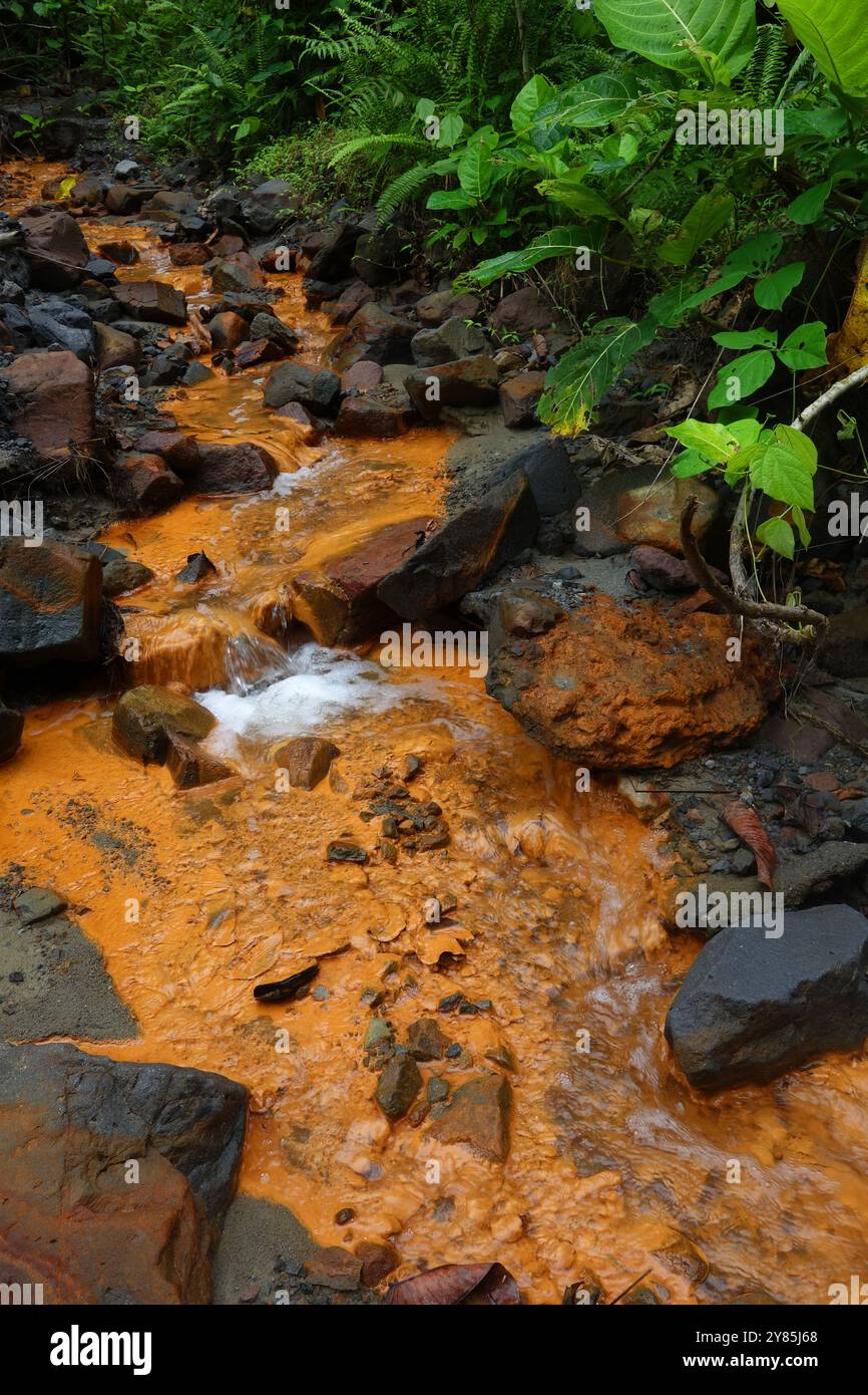 Cianobatteri arancio brillante che cresce nel torrente vulcanico, isola una una, isole Togean, Sulawesi, Indonesia Foto Stock