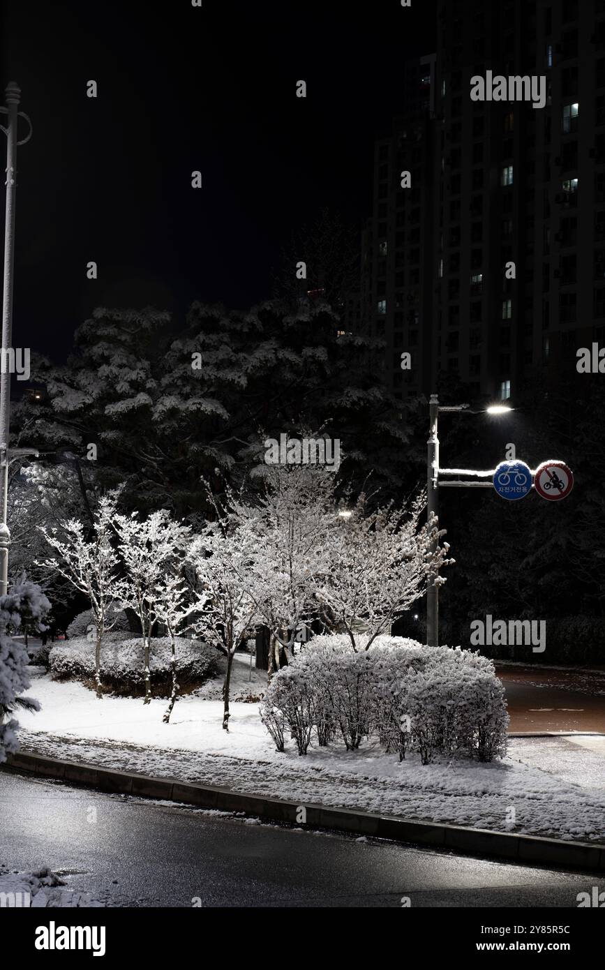 Una tranquilla notte nevosa a Gurae-dong, Gimpo, Corea del Sud. Gli alberi ricoperti di neve fresca sotto il semaforo creano un'atmosfera invernale tranquilla e serena. Foto Stock
