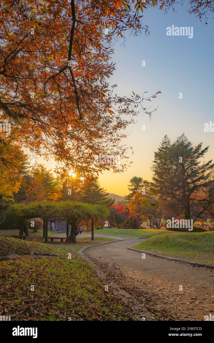 Una serena scena autunnale con una calda luce del tramonto sul paesaggio, caratterizzata da un sentiero che corre attraverso alberi adornati da fogliame colorato. Foto Stock