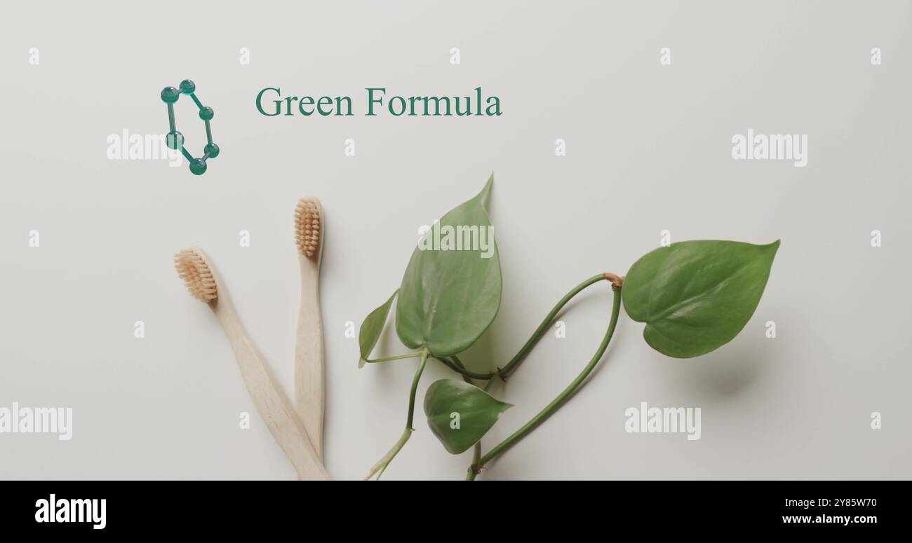 Immagine del testo della formula verde e dell'anello di molecole con spazzolini da denti in legno e foglie in grigio Foto Stock