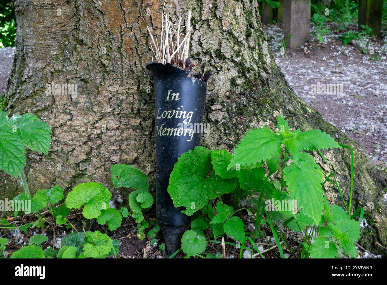 Questa immagine mostra un vaso nero rotto con l'iscrizione in Loving Memory appoggiato contro un tronco di albero. Foto Stock