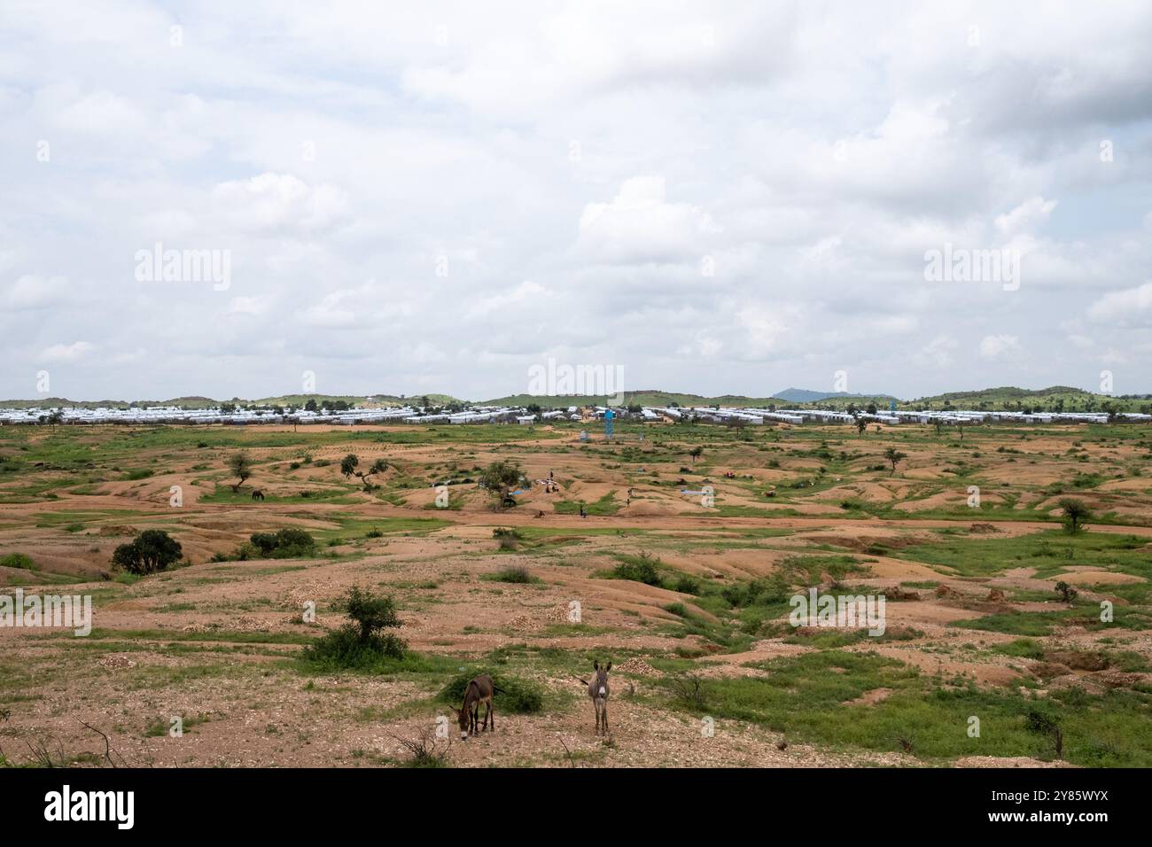 Vista generale del paesaggio del campo di Farchana con asino in primo piano nella regione Wadai del Ciad il 30 agosto 2024. Dopo l'epidemia Foto Stock