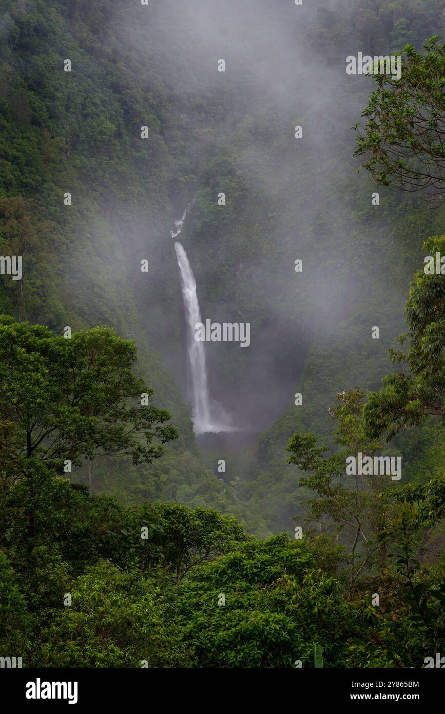Cascata tropicale. Fiume con ruscello bianco, giorno di pioggia, vegetazione verde nel parco nazionale. I giardini delle cascate di la Paz, con la verde foresta tropicale, Central Foto Stock