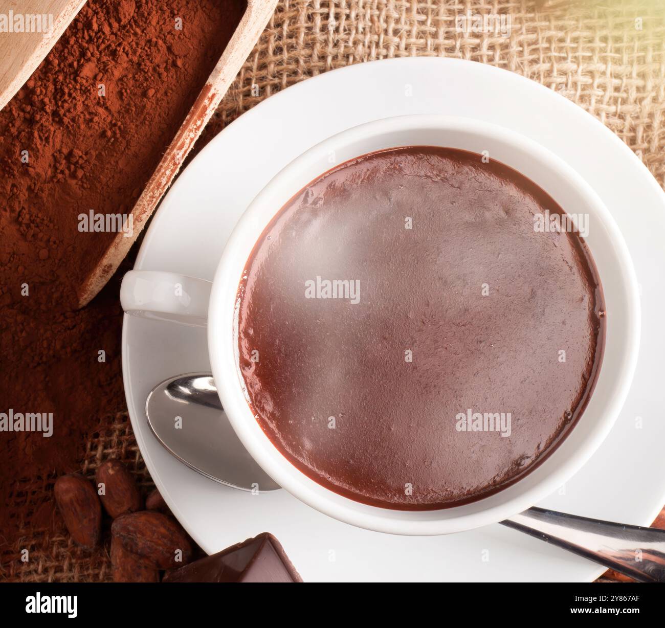 La tazza di cioccolata calda è circondata da cacao in polvere, fagioli e un pezzo di cioccolato fondente Foto Stock