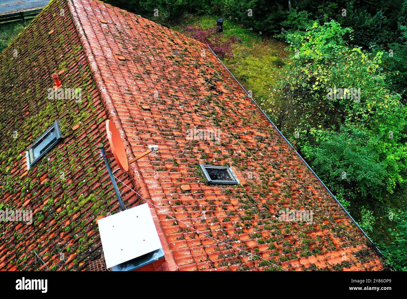Vista aerea della casa con tetto coperto di muschio, che mostra la necessità di una pulizia regolare per evitare danni. Le texture naturali aggiungono dettagli unici Foto Stock