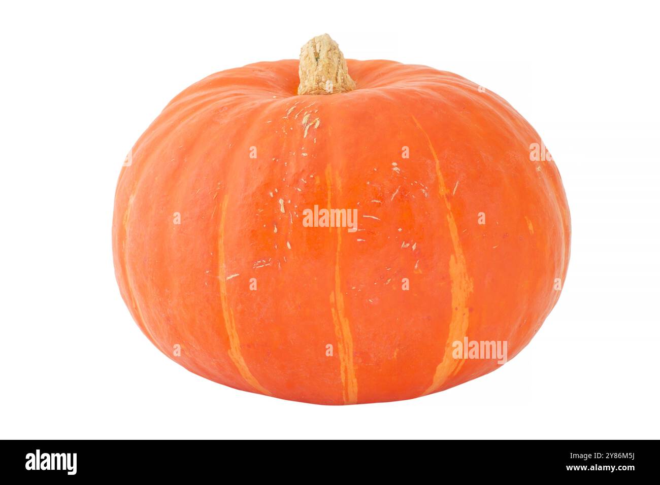 kuri squash rosso maturo intero isolato su sfondo bianco Foto Stock