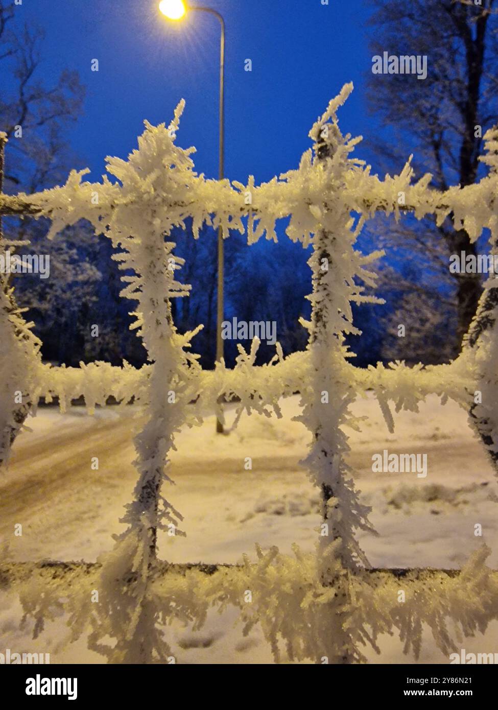 Cristalli di ghiaccio su una recinzione Foto Stock