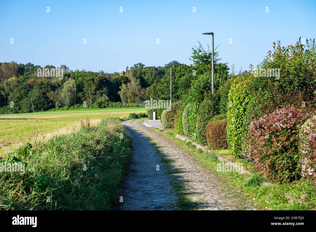 Sentiero per passeggiate nella campagna di Wallon a Doiceau, Brabant Wallon, Belgio Foto Stock