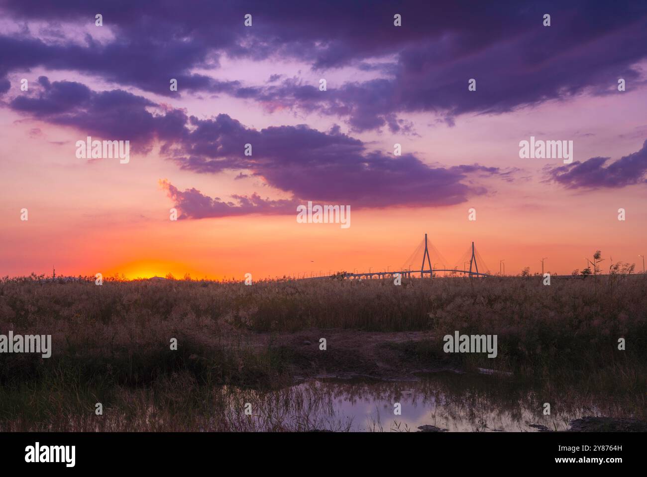 Un tranquillo tramonto su un campo con Incheon Bridge in lontananza. Il cielo si illumina di vivaci tonalità di rosso e viola, creando un'atmosfera serena. Foto Stock