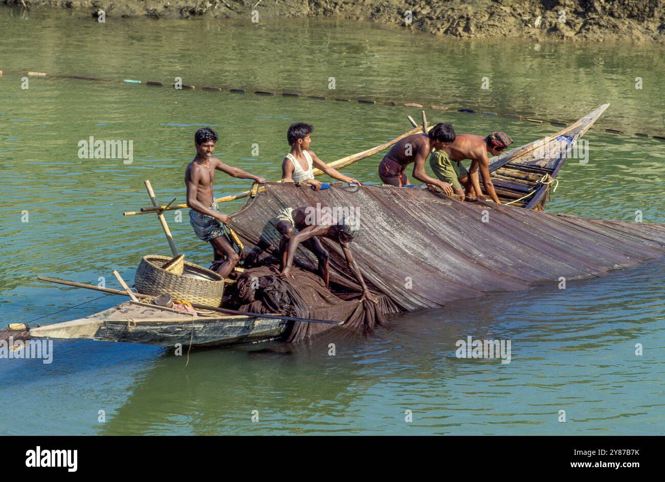 Bangladesh, Manikganj, gli allevatori del loro laghetto cooperativo catturano il pesce d'allevamento. Lo stagno è finanziato con un microprestito. Foto Stock