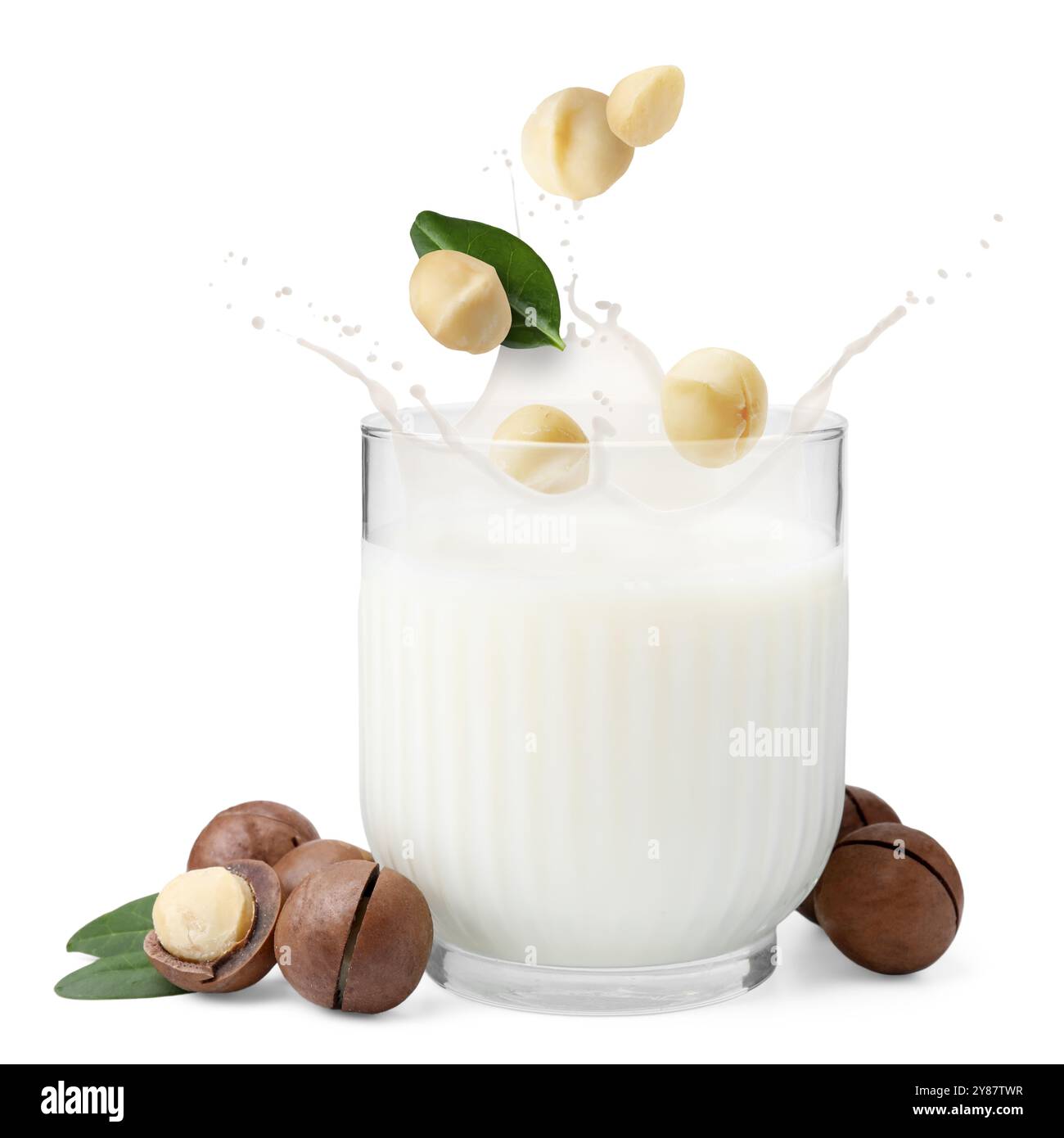 Noci di macadamia che cadono nel bicchiere di latte su sfondo bianco Foto Stock