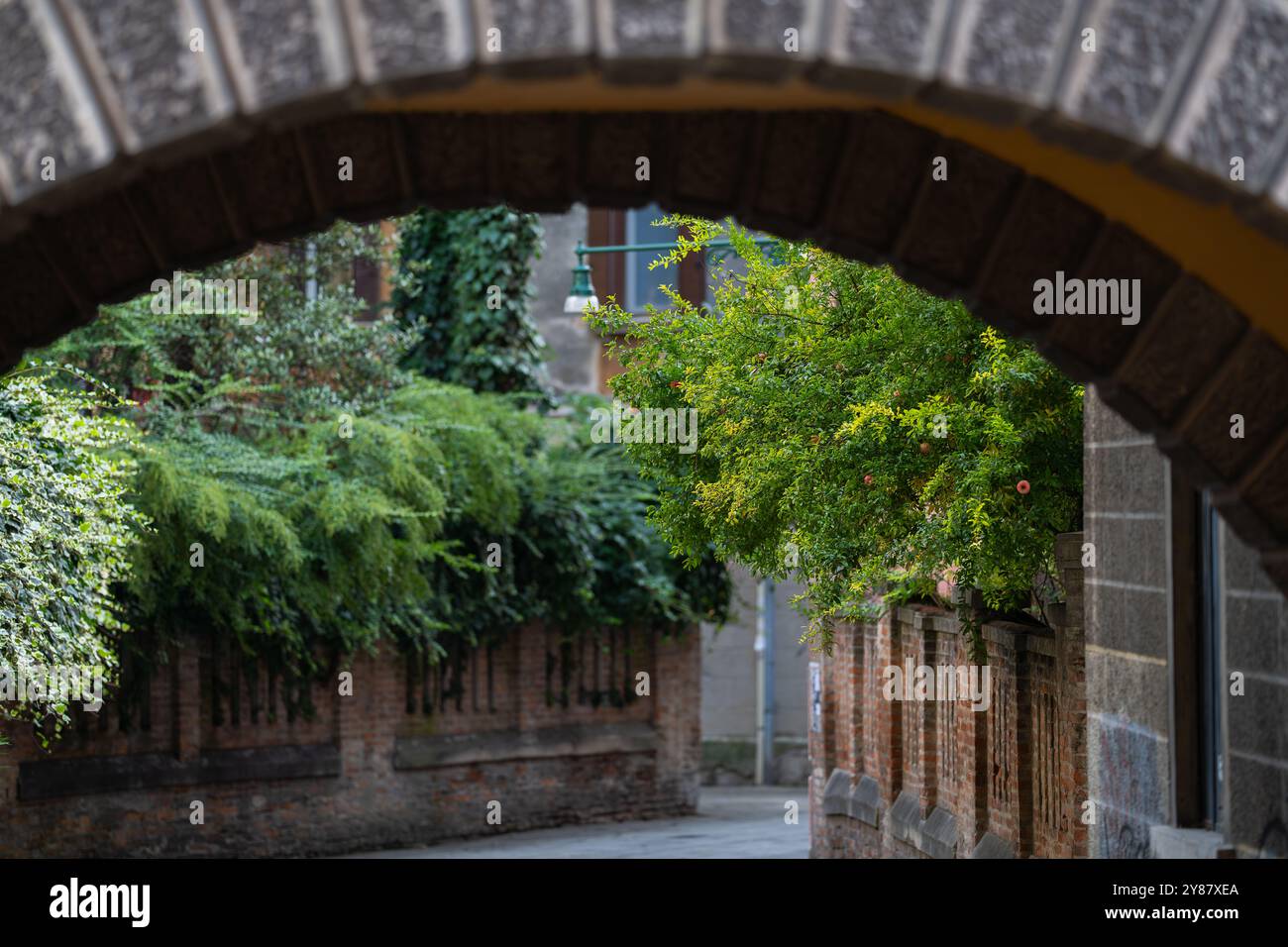 Vista dall'arco sulla strada di Venezia. Rami di un melograno sopra la strada. La strada veneziana nel verde, sullo sfondo. Foto Stock