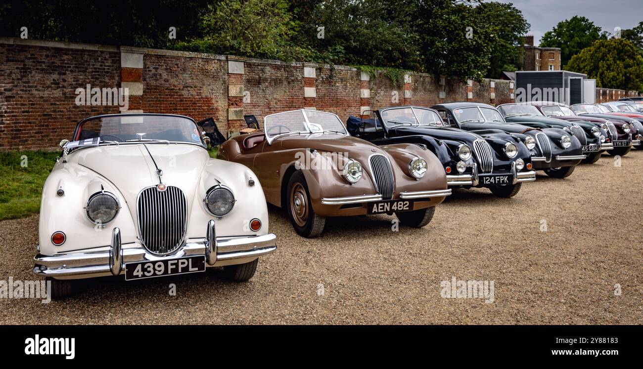 Esposizione di auto Jaguar XK classiche, Concours of Elegance 2024, Hampton Court Palace, Londra, Regno Unito Foto Stock