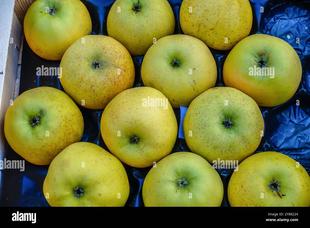 Primo piano di molte deliziose mele verdi gialle dorate in scatola presso il negozio del mercato agricolo che mostra dettagli e consistenza ad Apt, Francia Foto Stock
