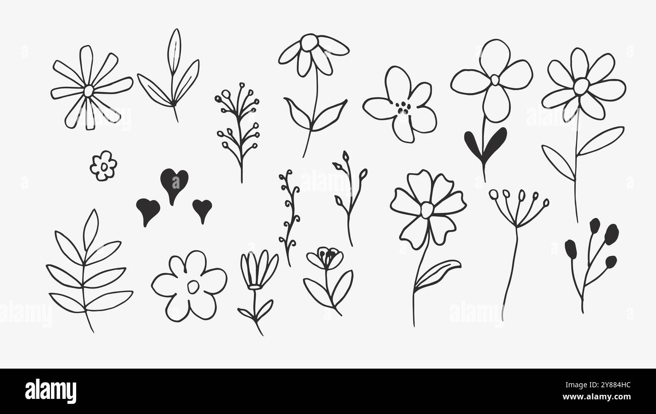 Elementi di natura organica: Raccolta disegnata a mano Illustrazione Vettoriale