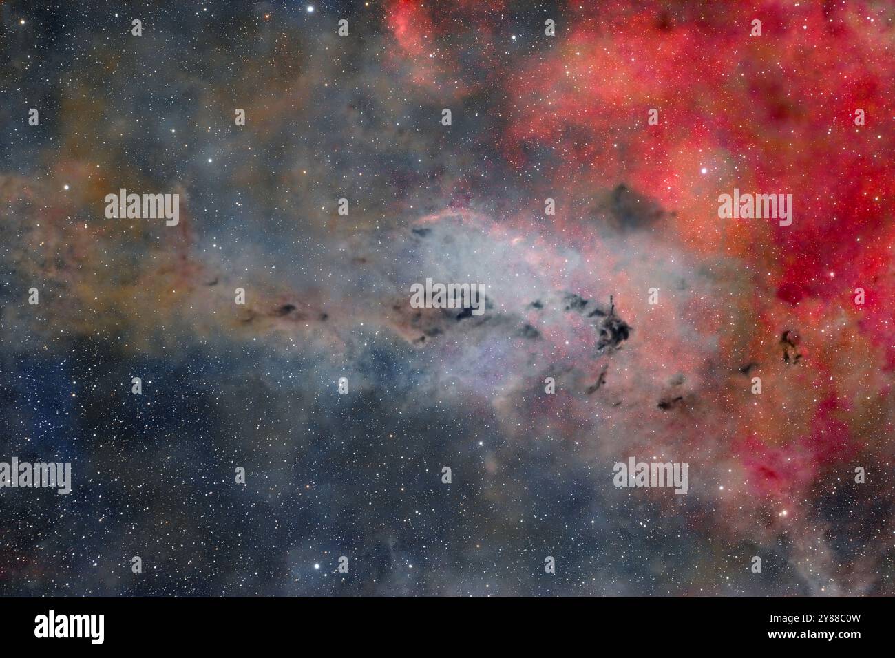 Barnard 11 / LDN 1399 Barnard 11 nella costellazione Camelopardalis. Incredibile Nebulosa Deep Space catturata in colori brillanti con stelle e Clou della polvere Foto Stock