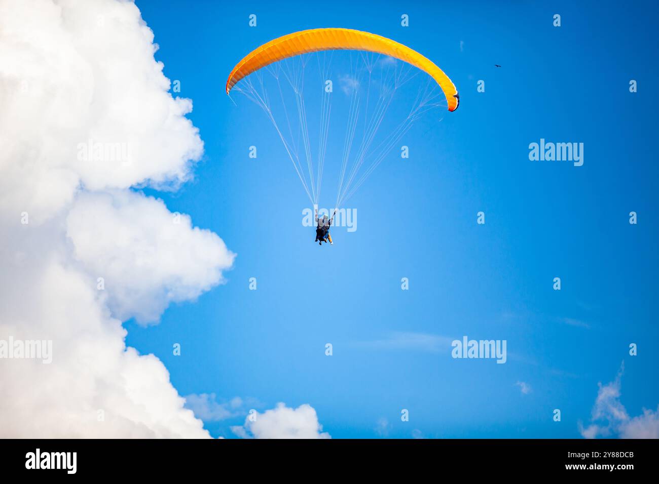Persone che navigano in parapendio sulle splendide montagne del dipartimento di Antioquia in Colombia. Parapendio tandem. Concetto di sport estremi. Foto Stock