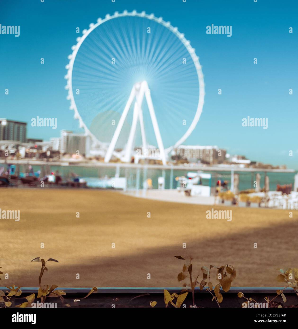 Una delle ruote panoramiche più grandi al mondo - Ain Dubai Foto Stock