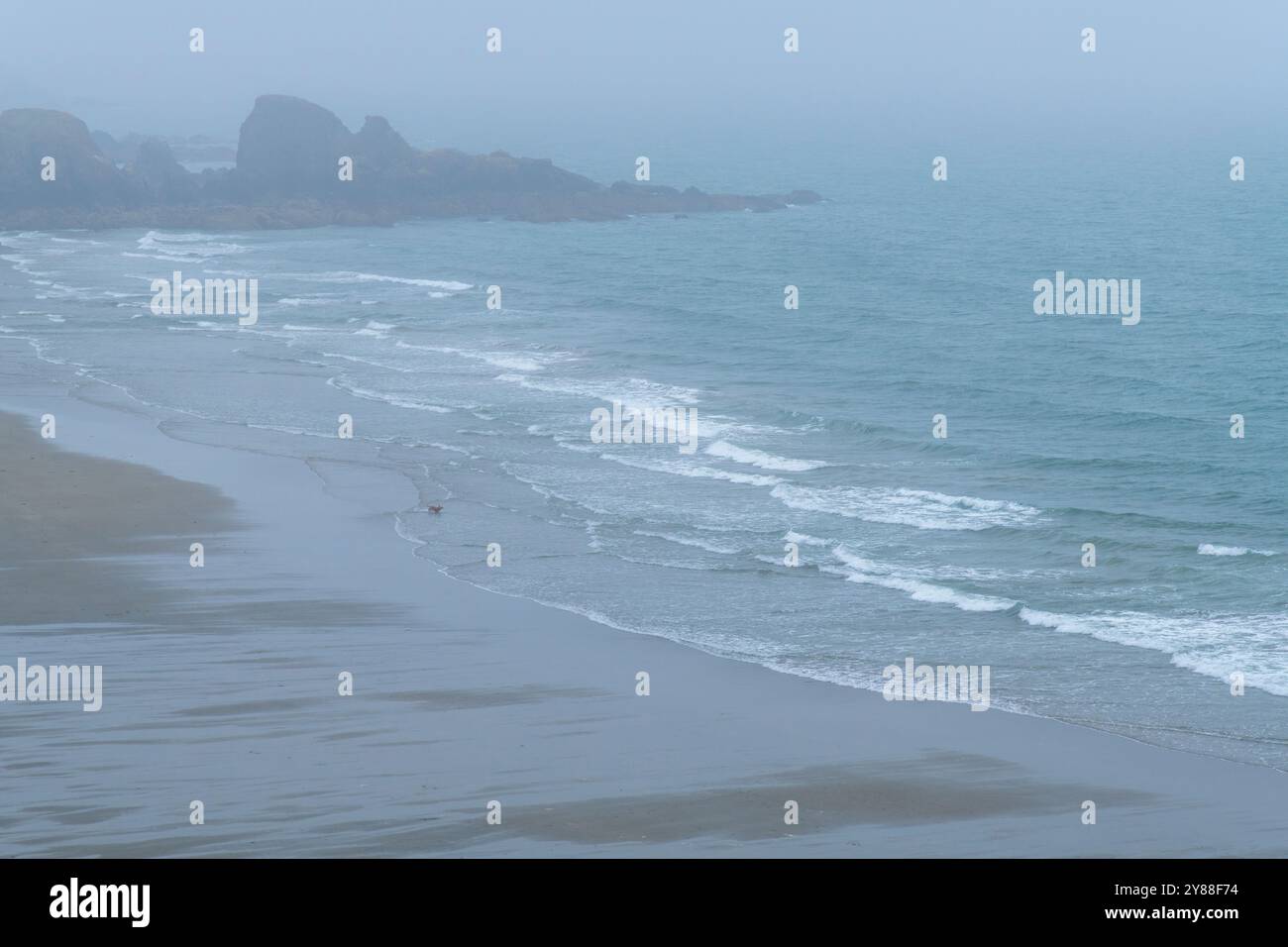 Spiaggia di Misty Bunmahon con cani che corrono lungo la costa: Tranquilla scena costiera irlandese in un Foggy Day Foto Stock