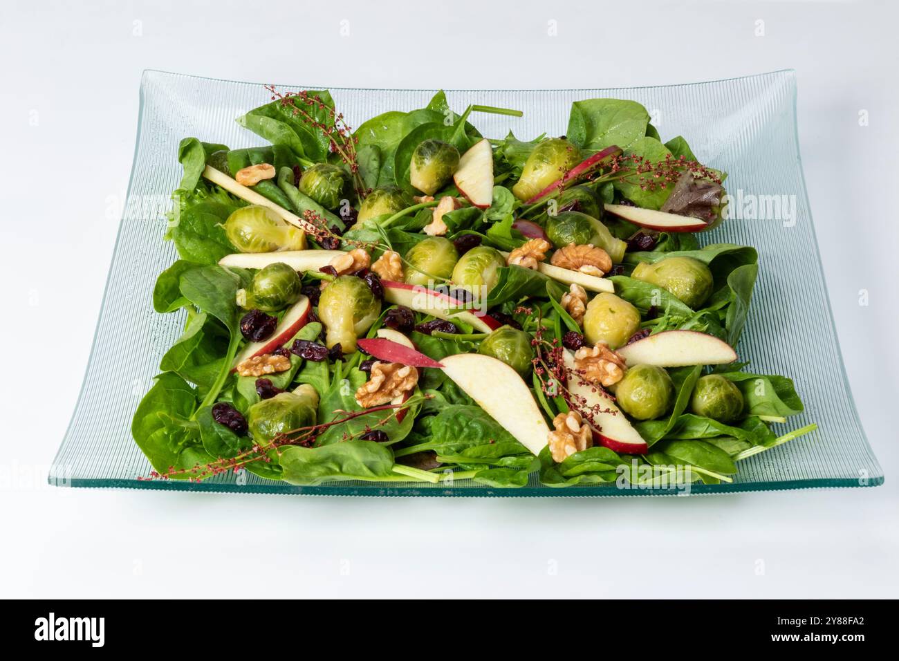 Insalata appena preparata, con foglie di spinaci, fette di mele, carciofi, noci e mirtilli rossi, delizioso e sano Foto Stock